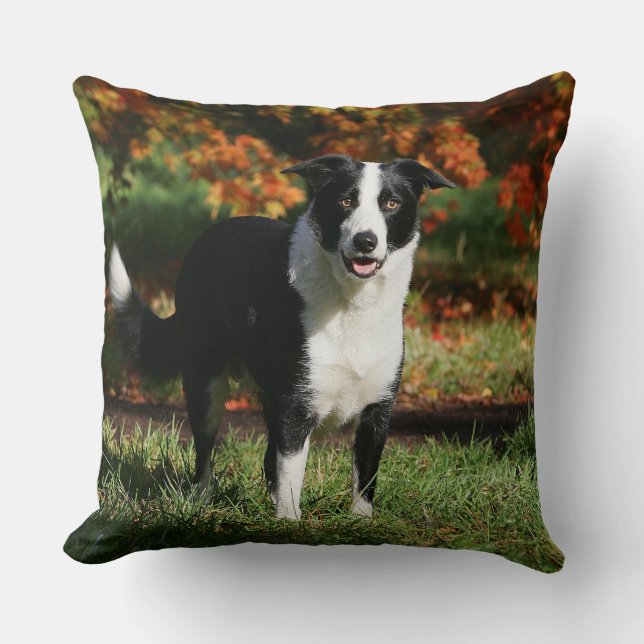 Rand Collie Autumn Standing Kussen (Voorkant)
