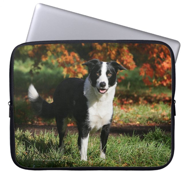Rand Collie Autumn Standing Laptop Sleeve (Voorkant)