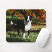 Rand Collie Autumn Standing Muismat (Met muis)