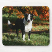 Rand Collie Autumn Standing Muismat (Voorkant)