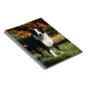 Rand Collie Autumn Standing Notitieboek (Rechterzijde)