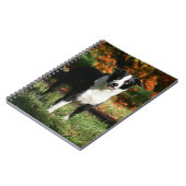 Rand Collie Autumn Standing Notitieboek (Linkerzijde)