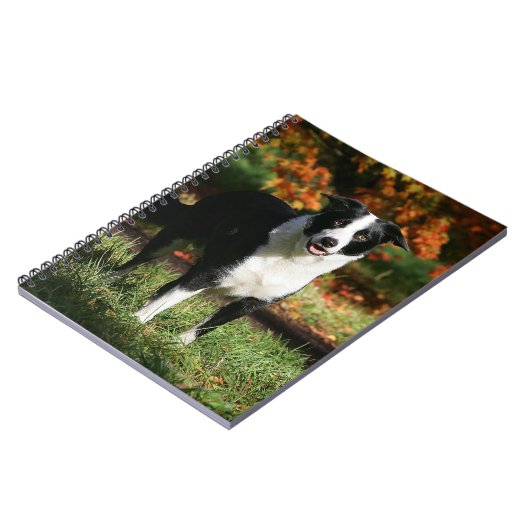 Rand Collie Autumn Standing Notitieboek (Linkerzijde)