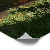 Rand Collie Autumn Standing Poster (Hoek)