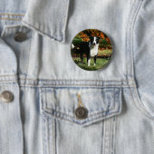 Rand Collie Autumn Standing Ronde Button 5,7 Cm (In situ)