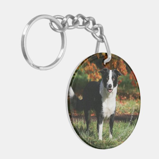 Rand Collie Autumn Standing Sleutelhanger (Voorkant Links)