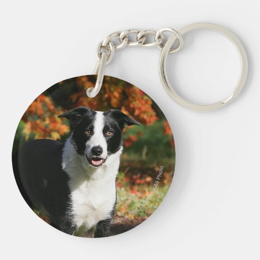 Rand Collie Autumn Standing Sleutelhanger (Achterkant)