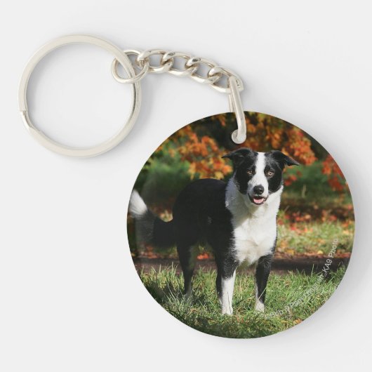 Rand Collie Autumn Standing Sleutelhanger (Voorkant)