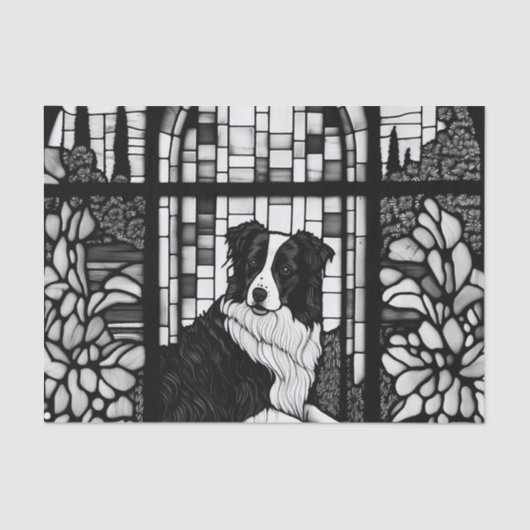 Rand Collie Black en White Dogs Shower Curtain Tissuepapier (Voorkant)