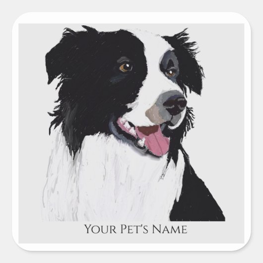 Rand Collie Black en White Pet Dog- Vierkante Sticker (Voorkant)