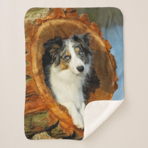 Rand Collie Blue Merle Dog Head Fotografie op - Sherpa Deken