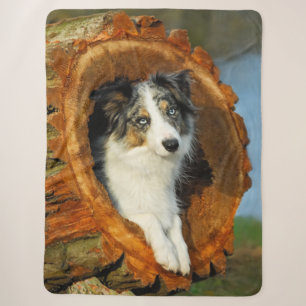 Rand Collie Blue Merle Dog Head Fotografiet Sherpa Deken