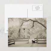 Rand collie briefkaart (Voorkant / Achterkant)