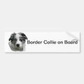 Rand collie bumpersticker (Voorkant)