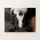 Rand collie delight legpuzzel (Horizontaal)