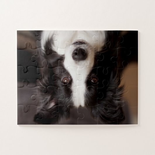 Rand collie delight legpuzzel (Horizontaal)