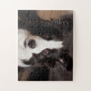 Rand collie delight legpuzzel