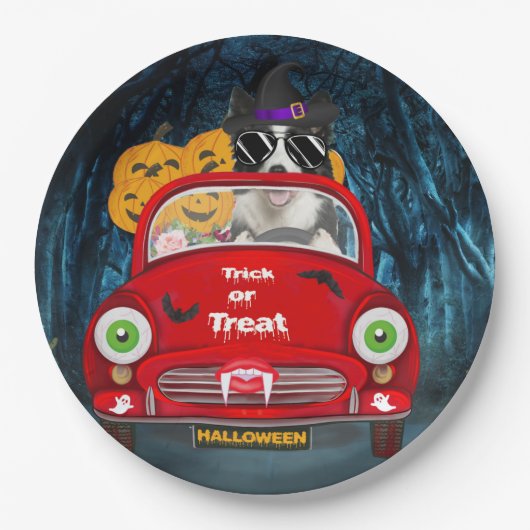 Rand Collie Dog Driving Car Scary Halloween Papieren Bordje (Voorkant)