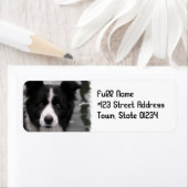 Rand Collie Dog Return Address Label (Insitu)