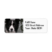 Rand Collie Dog Return Address Label (Voorkant)