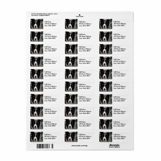 Rand Collie Dog Return Address Label (Full Sheet)