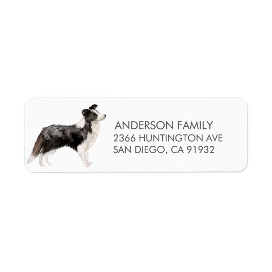 Rand Collie Dog Return Address Label (Voorkant)
