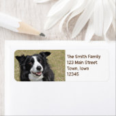 Rand collie etiket (Insitu)