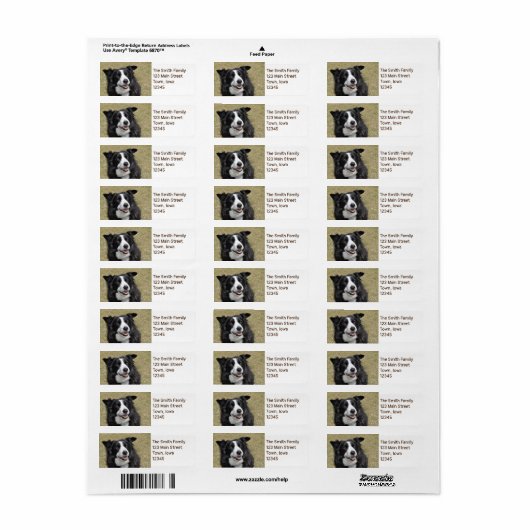 Rand collie etiket (Full Sheet)