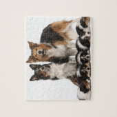 Rand collie familie legpuzzel (Verticaal)