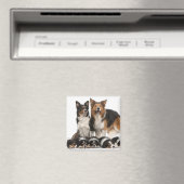 Rand collie familie magneet (Insitu (Vaatwasser))