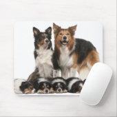 Rand collie familie muismat (Met muis)