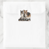 Rand collie familie vierkante sticker (Tas)