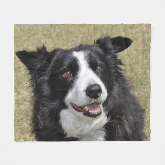 Rand collie fleece deken (Voorkant (Horizontaal))