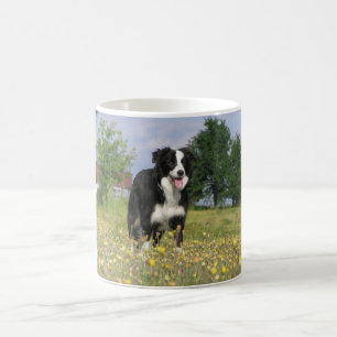 rand collie full 3.png koffiemok
