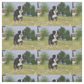 rand collie full 3.png stof (Swatch)