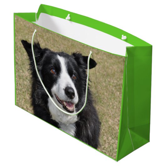 Rand collie groot cadeauzakje (Achterkant Gekanteld)