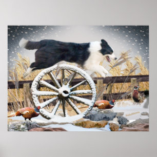 Rand Collie Jumping-wagon Poster