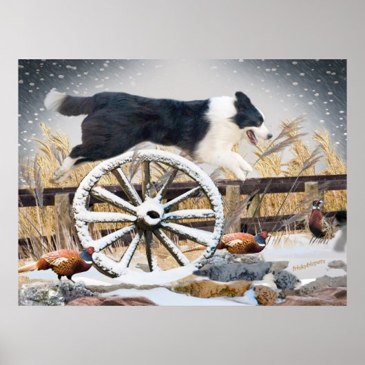 Rand Collie Jumping-wagon Poster (Voorkant)