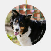 Rand Collie Panting 1 Keramisch Ornament (Voorkant)