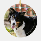 Rand Collie Panting 1 Keramisch Ornament (Achterkant)