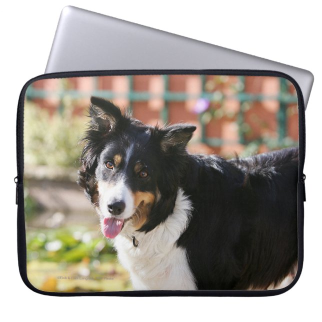 Rand Collie Panting 1 Laptop Sleeve (Voorkant)