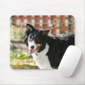Rand Collie Panting 1 Muismat (Met muis)