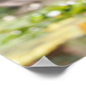 Rand Collie Panting 1 Poster (Hoek)