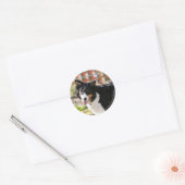 Rand Collie Panting 1 Ronde Sticker (Envelop)