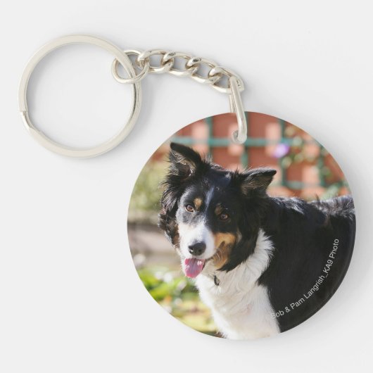 Rand Collie Panting 1 Sleutelhanger (Voorkant)