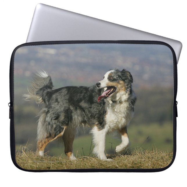 Rand Collie Panting 2 Laptop Sleeve (Voorkant)
