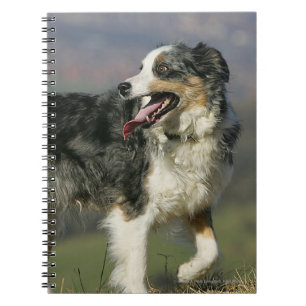 Rand Collie Panting 2 Notitieboek