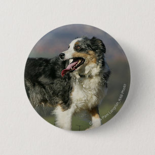 Rand Collie Panting 2 Ronde Button 5,7 Cm