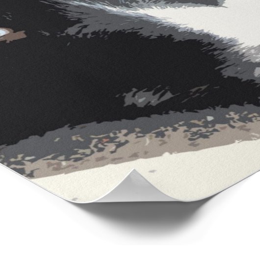 Rand collie portret poster (Hoek)