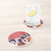 Rand Collie Puppies Dog Animal Onderzetter (Zijkant)